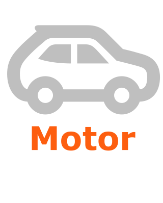 Motor Vehicle Loan