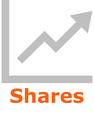 Shares Investment Loan